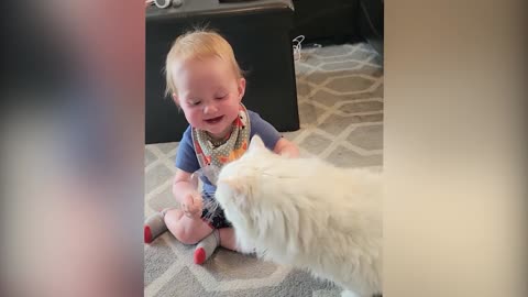 Cutest baby playing with cute cats and dogs