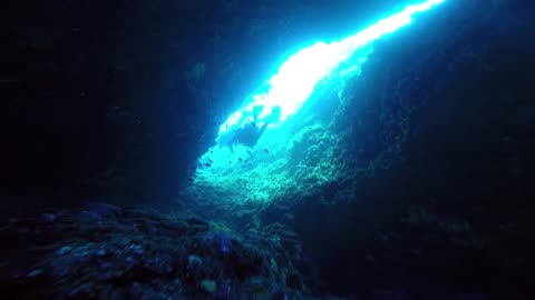 ‘New Terrifying Underwater Discoveries In Antarctica.