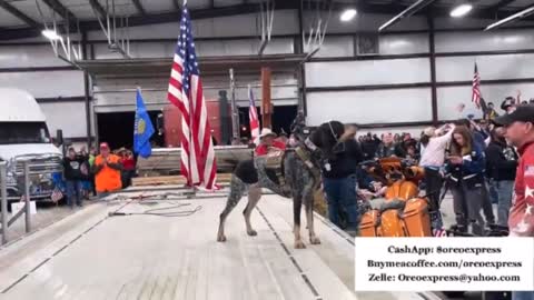 Dixie the Hound Dog at The People's Convoy Rally in Monrovia, IN