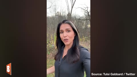 Tulsi Gabbard Warns Michigan Voters About Prop 3 on Abortion: Essentially Allows "Infanticide"