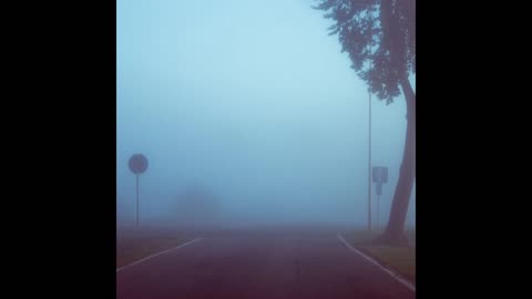 Fog 19