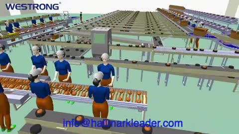 manufacturer of apple pear automatic sorter machine in china best price