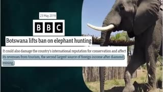 Meanwhile, Botswana threatens to send 20,000 elephants to Germany