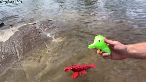 Sea Animals toys this summer at the shore