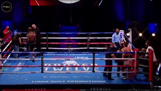 Boxing analisys Derevyanchenko vs Charlo Round 7