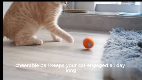 Cheerble Smart Interactive Cat Toy | Toys for cats 🙀