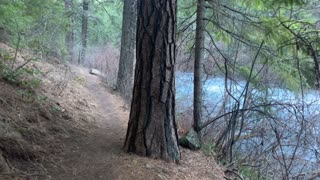 Exploring the River's Edge – Metolius River National Recreation Area – Central Oregon – 4K