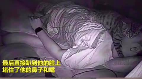 The man has difficulty breathing while sleeping. Is the "murderer" his cat?