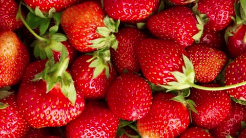 Strawberry Fruit HD