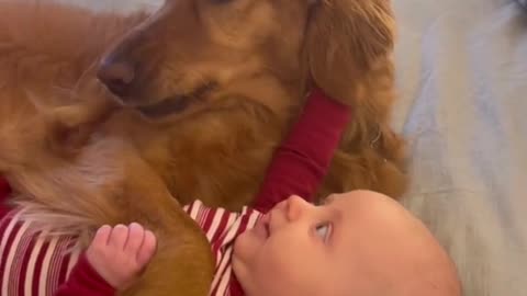 Dog Love With Cute BABY 🥰