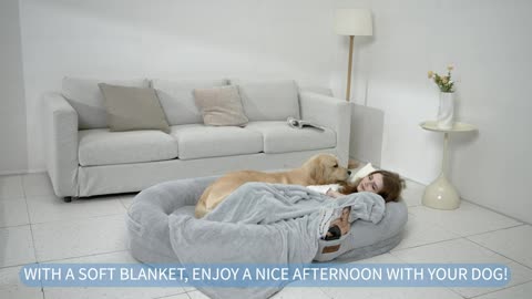 Human Dog Bed for People Adults, Adult Oval for People #dog bed #Funny My Time, #petcares