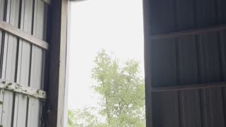 Rain on a steel roof