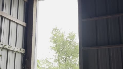 Rain on a steel roof