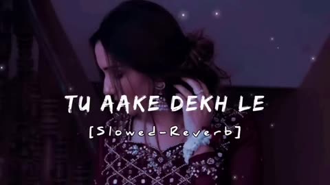 TU AAKE DEKH LE (slowed+reverb)
