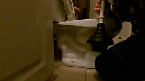 Dirty Video: Toilet Dynamics/ effective plunger use to unclog