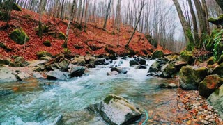 Beautiful water fall