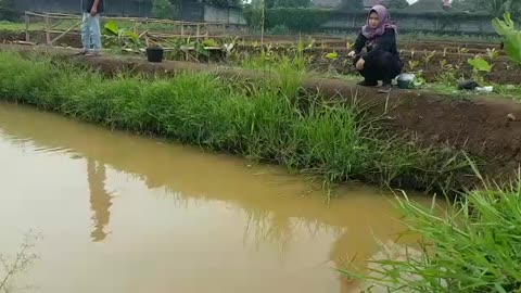 Fishing in the pond behind my house