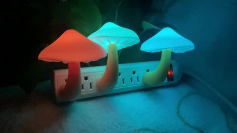 UTLK 3 Pack Plug in LED Mushroom Night Light Lamp with Dusk to Dawn Sensor,Plug in Bed Cute Nightlig