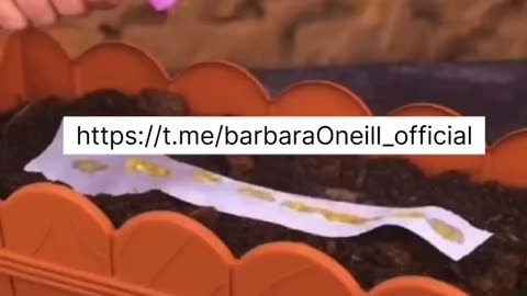 Barbara O’Neill ~DIY Hack~Grow Your Own Food