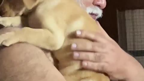 Video of Indian Father hug labaror dog pup