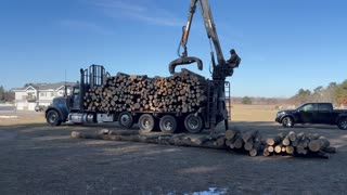 Getting a load of wood.