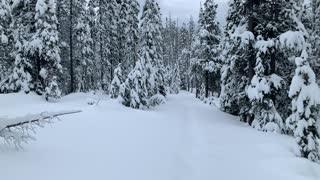 Snow White Forest – Central Oregon – Vista Butte Sno-Park – 4K