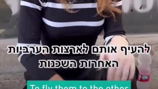 ISRAELI OPINION ON GAZA