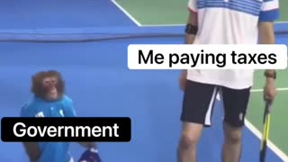 Paying taxes be like…