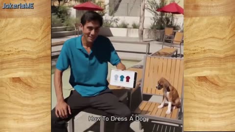Funny videos : Best magic vines ever from Zach King Vine