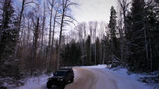 JEEP LOVES 4X4 CRUISING WINTER ROADS #shorts 🌲⛄️🌲