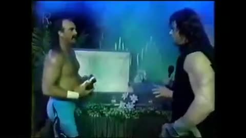 JAKE THE SNAKE ROBERTS VS THE UNDERTAKER