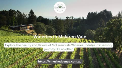 Exploring Wineries in McLaren Vale: Vine Shed Venue and Cellar Door