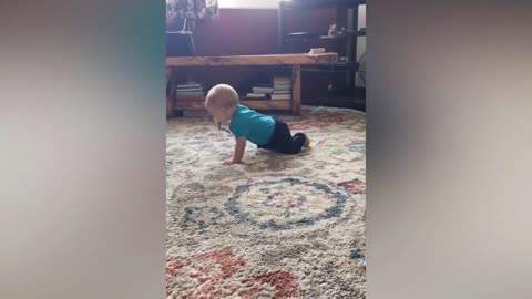 Baby and cat play together