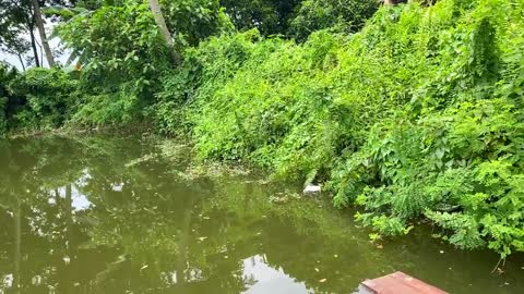 Drive the Muddy Toy Vehicle by hand and threw it into the water for cleaning