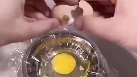 How a Chick development from egg