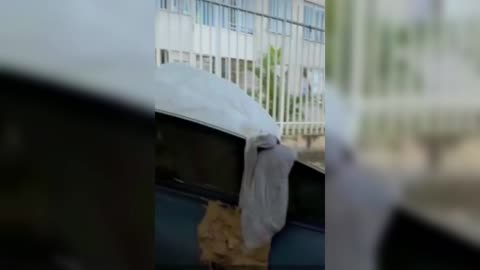 Video: Botan excremento desde edificio en Ciudad Jardín y le cae a un conductor