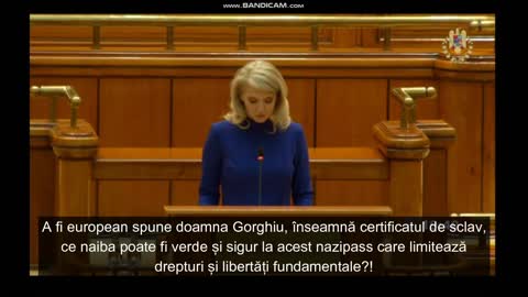 Discursul unei MARI TRĂDĂRI NAȚIONALE! Alina Gorghiu senator PNL