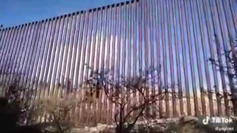 Trump wall was so easy to climb or walk through it, live demonstration