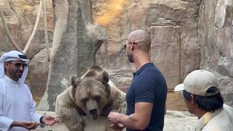 Tate at the zoo in Dubai