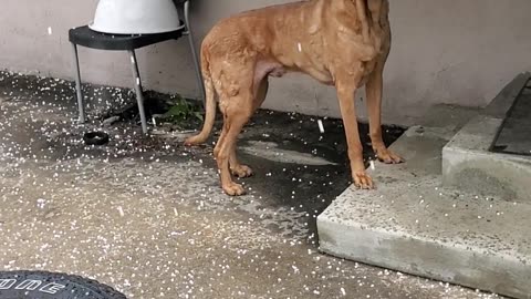 "Hail in Burbank, California "...