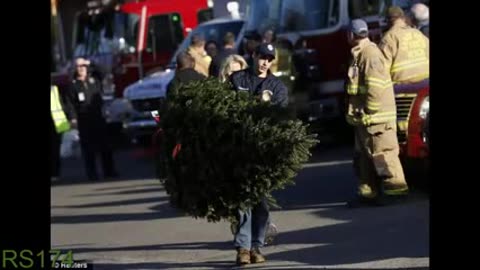 SANDY HOOK HOAX 26 CHRISTMAS TREES