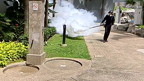 Fumigation Slow- MO ( Quite Pleasing to the eyes)