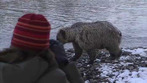 Bear Cave Mountain - Bear Watching Adventure