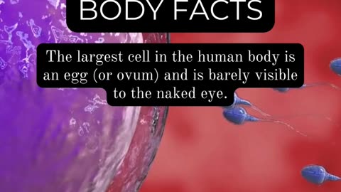 The Human Body Uncovered: Surprising Revelations