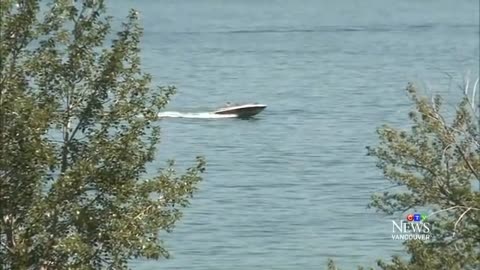 Mysterious creature in Okanagan Lake: What is it exactly?
