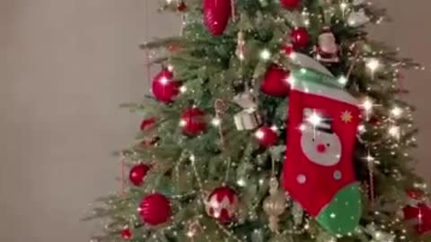 decorating the tree