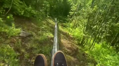 Mountain Coaster 🎢 🏔 🌲 . . . Tag someone you need to do this with! . .