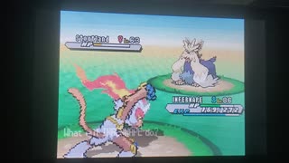 Pokemon White2:Rematch Memory Lane with Bianca