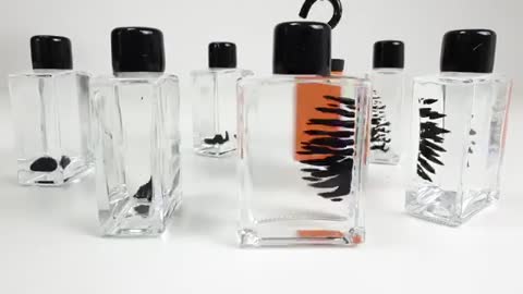 Ferrofluid in a bottle to view Magnetic Fields | Magnetic Games