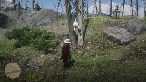 You really did it this time, horse...